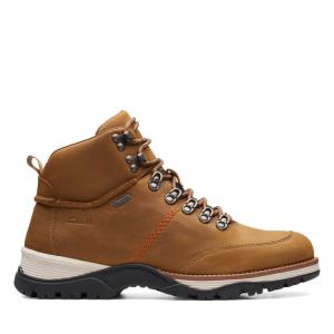 Originals Botas Clarks ToptonPine GTX Hombre Marrones | CLK815FGU